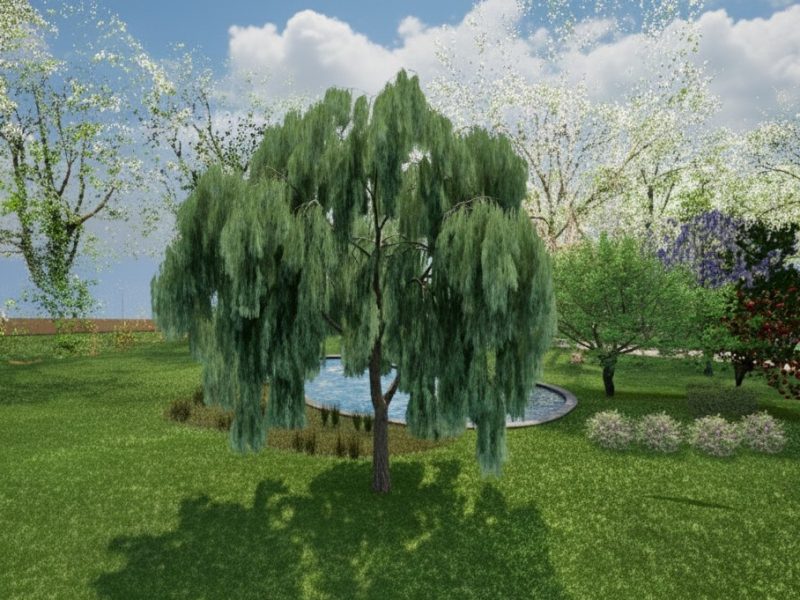 photo-realiste4-existant-neuf-renovation-parc-pmr-fontvieille-arg3d